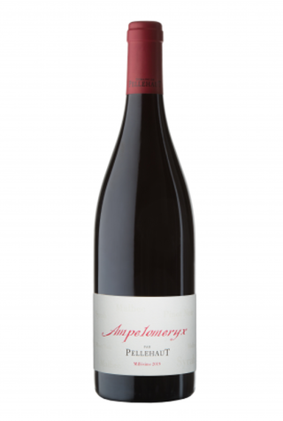 Côtes de Gascogne, Ampélomerix rouge 2014 Domaine de Pellehaut