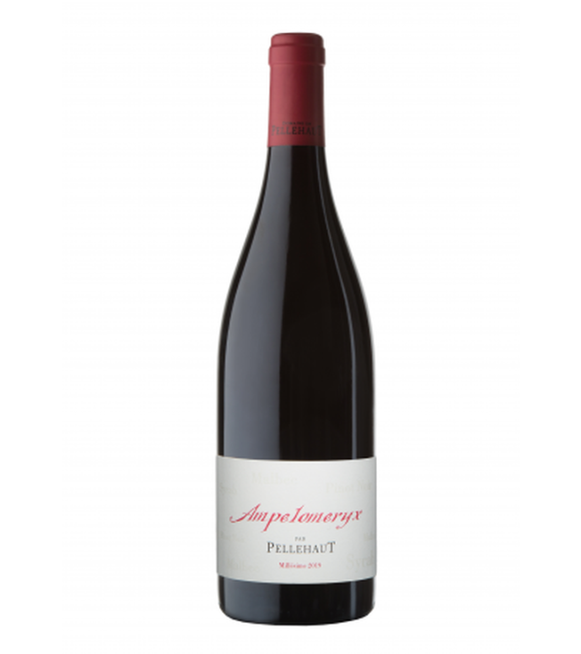 Côtes de Gascogne, Ampélomerix rouge 2014 Domaine de Pellehaut