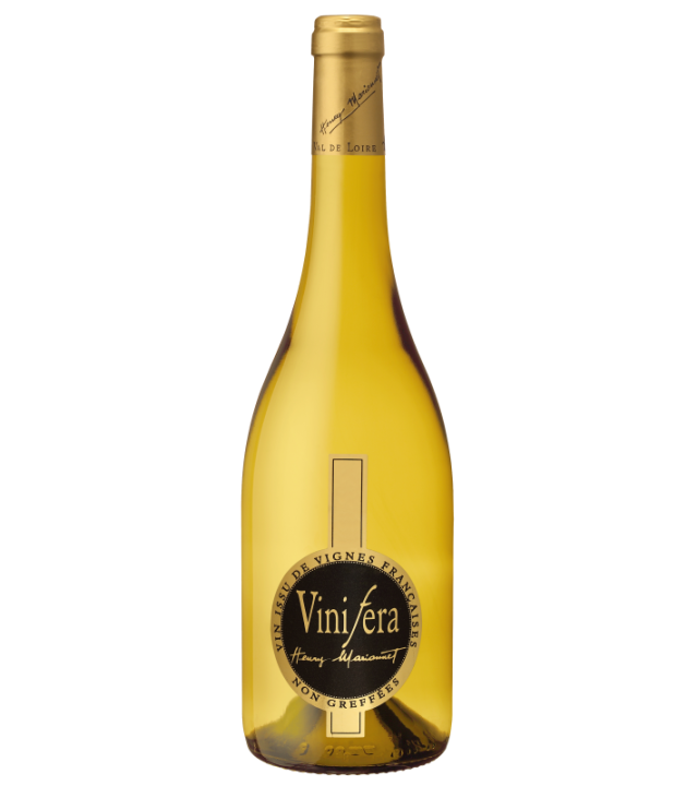 Sauvignon "Vinifera" 2015 Henry Marionnet