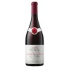 Chambolle Musigny 2020, domaine Bertagna