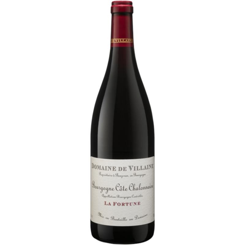 Bourgogne La Fortune 2020, domaine de Villaine