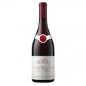 Chambolle Musigny 2022, domaine Bertagna