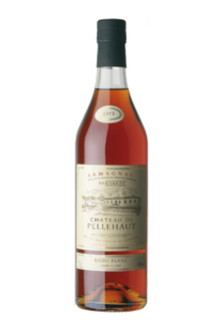 Armagnac 1973 Pellehaut