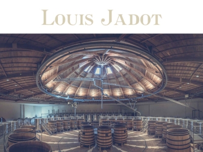 Dégustation des vins Louis Jadot à Vincennes